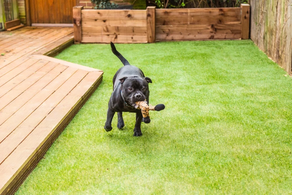 Hulp bij het kiezen van het perfecte kunstgras voor jouw tuin