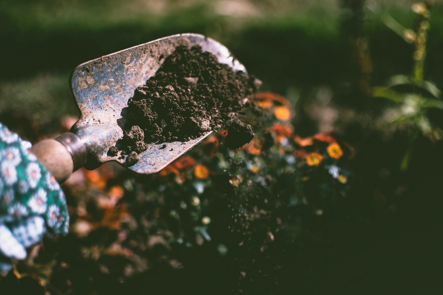 De basis gereedschappen die iedere tuin nodig heeft