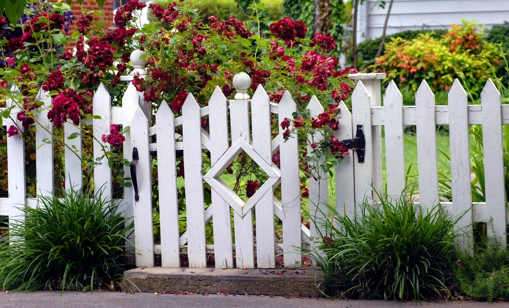 Geef je tuin status met een mooie poort