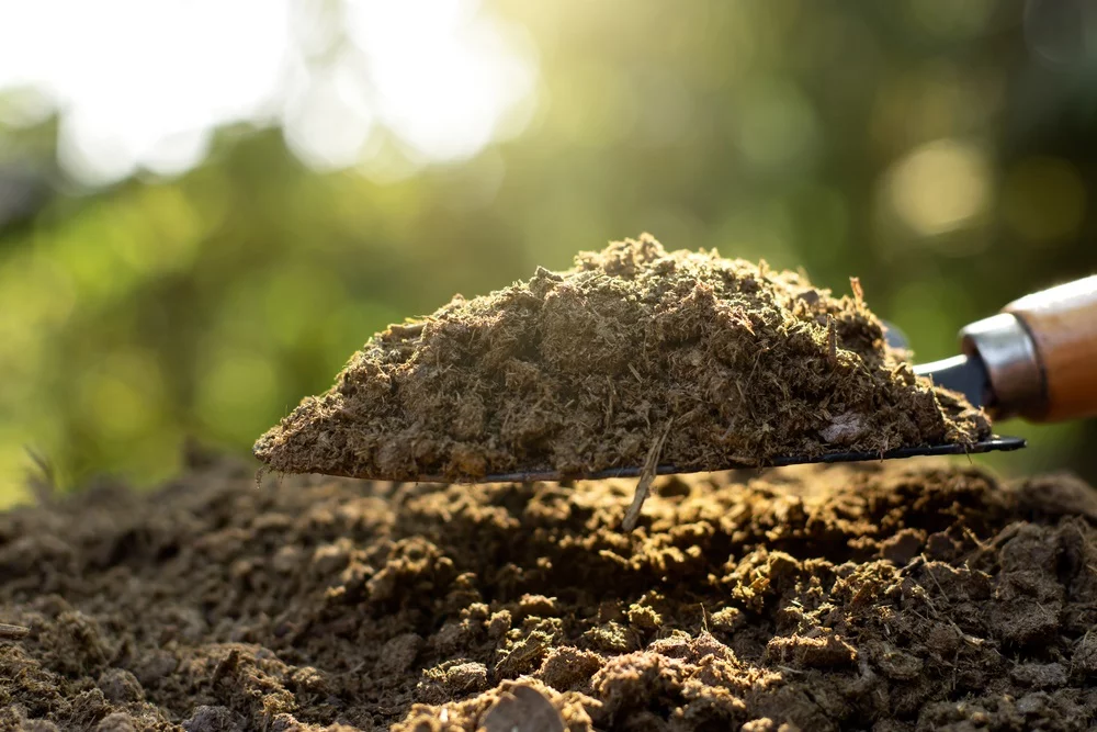 De voordelen van goede pot- en mestgrond in je tuin