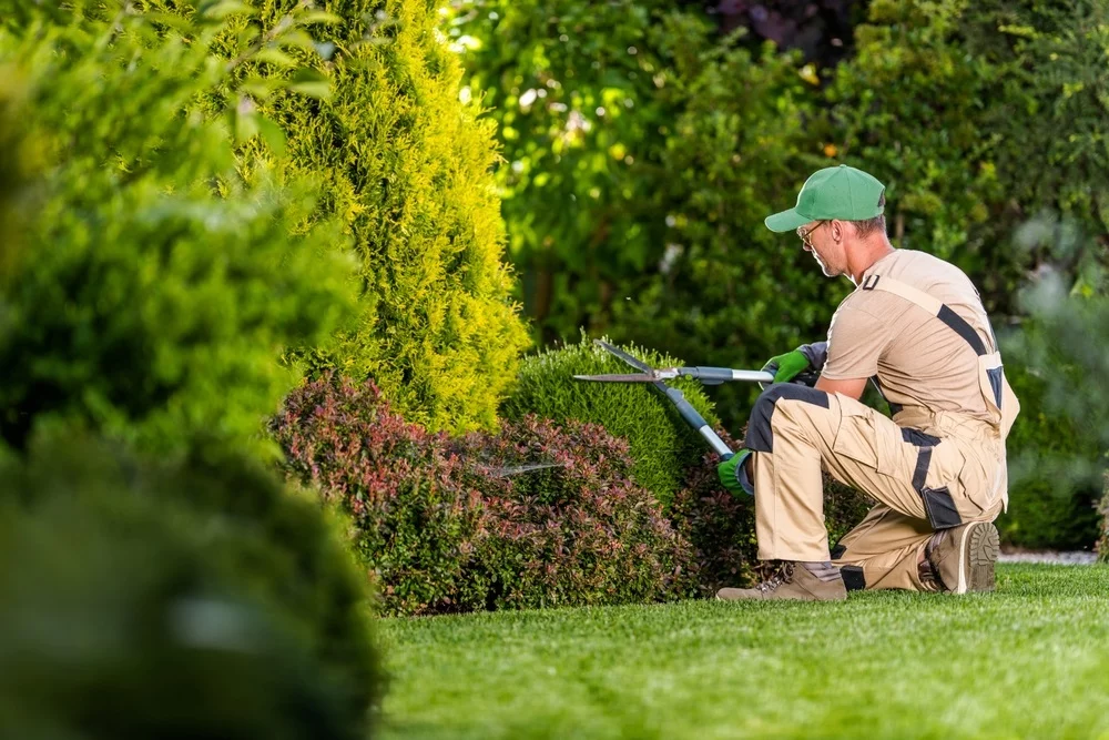 Zelf je tuin aanleggen of een hovenier inschakelen?