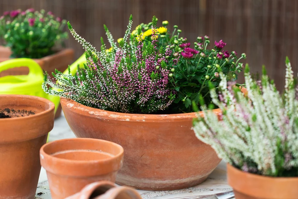 Bloempotten in keramiek of terracotta: een mooie visuele prikkel in je tuin