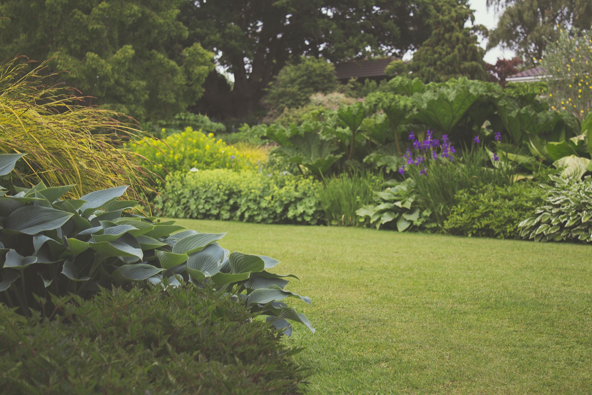 3 tips die jou helpen bij het inrichten van je tuin